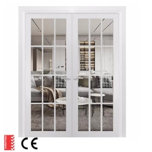 Floor-to-Ceiling Double Glass Door
