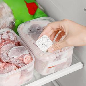 Refrigerator Deodorizer